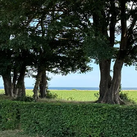 Casa de Férias Francis - 300m From The Sea By Interhome