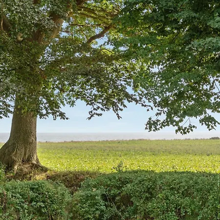 Francis - 300m From The Sea By Interhome Rødvig